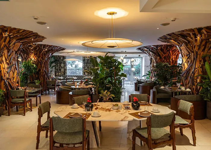 New , A Member Of Design s
